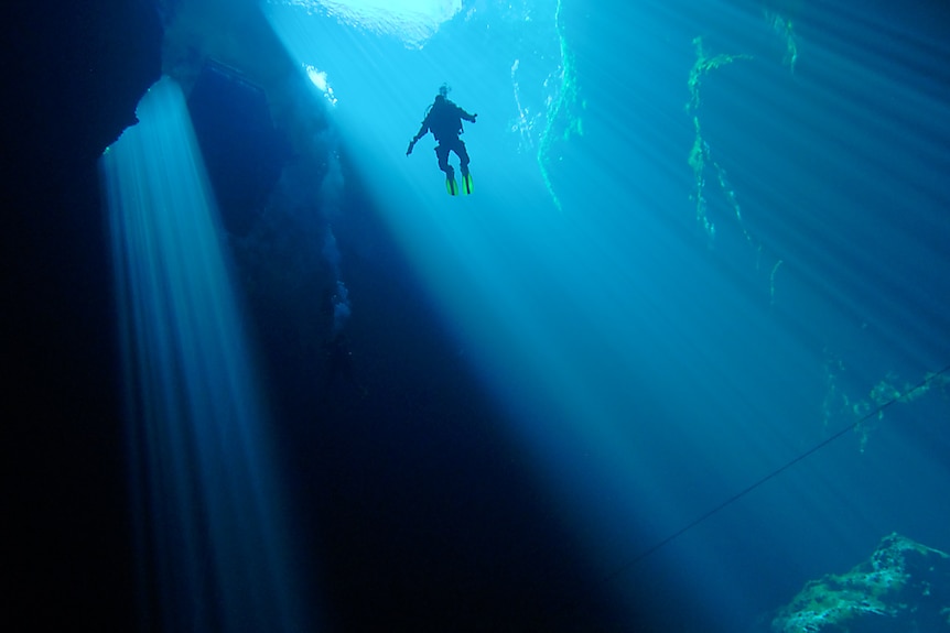 A scuba diver floats in crystal clear water under a large light beam from above.
