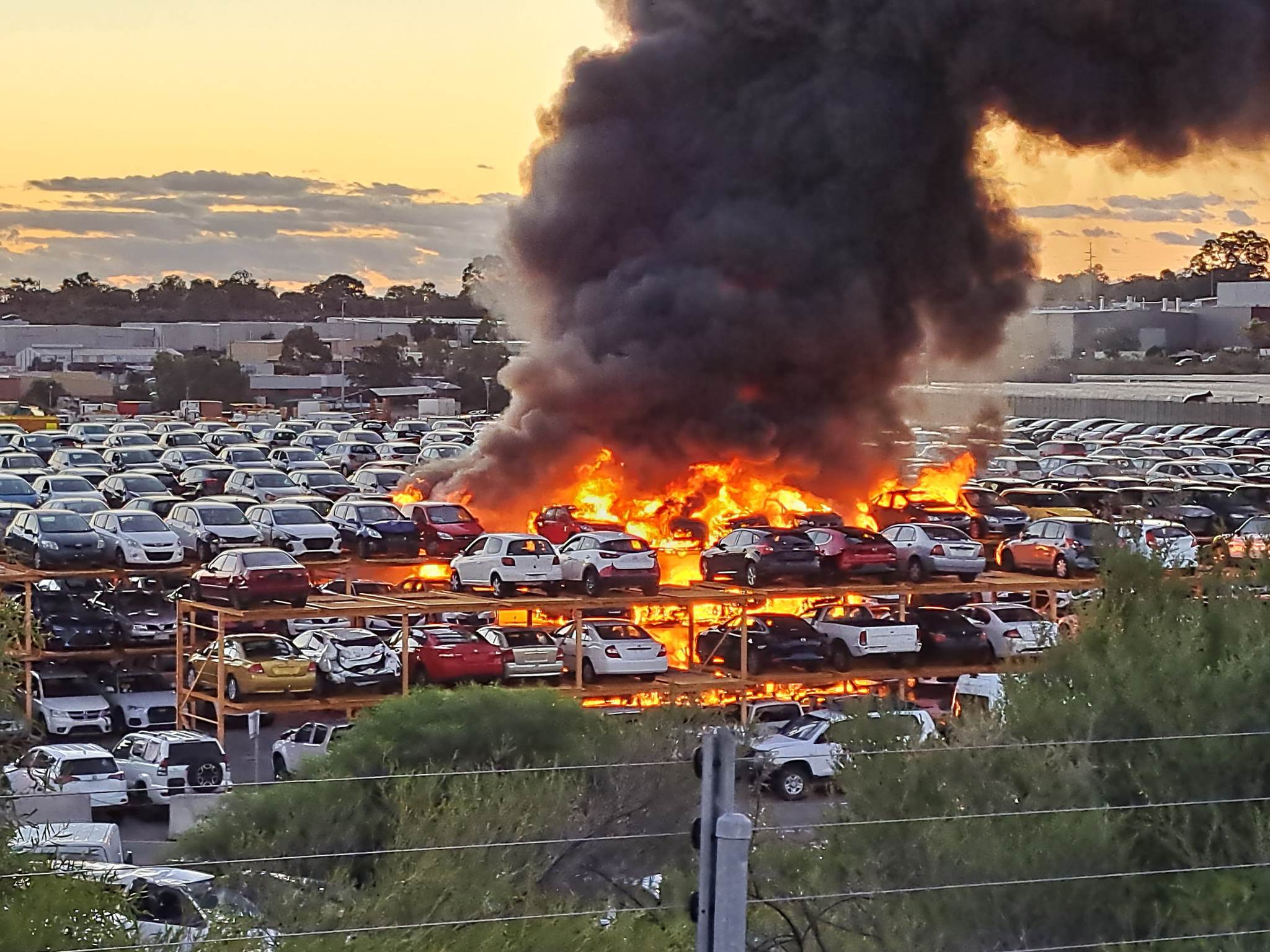 Blaze destroys dozens of cars in Pickles Auctions car yard in Bibra Lake - Vimarsana News