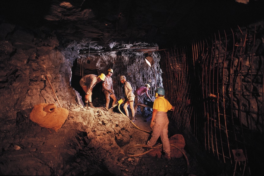 People excavating inside tunnel where pterosaur bones were found