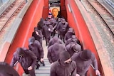Dozens of men dressed in black leaving the train station in North Sydney.