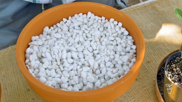 Perlite in Potting Mix - Gardening Australia