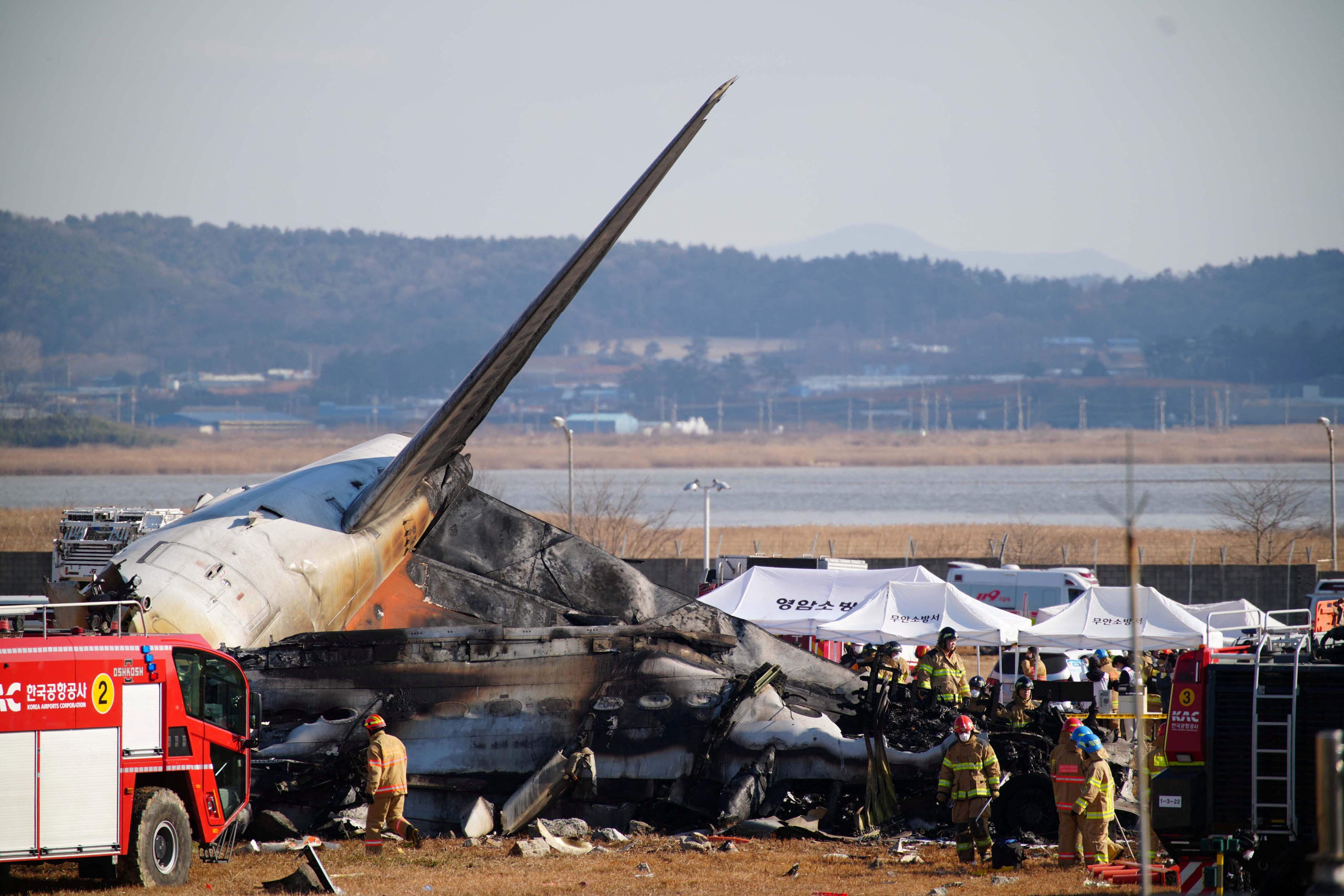 South Korean plane crash report says bird remains were found in engines -  ABC News