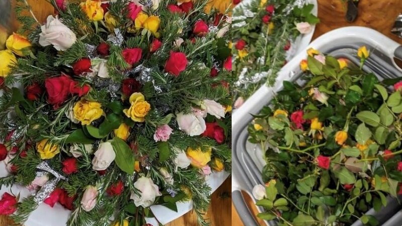 containers of flowers that are leafy green with red and yellow bloom