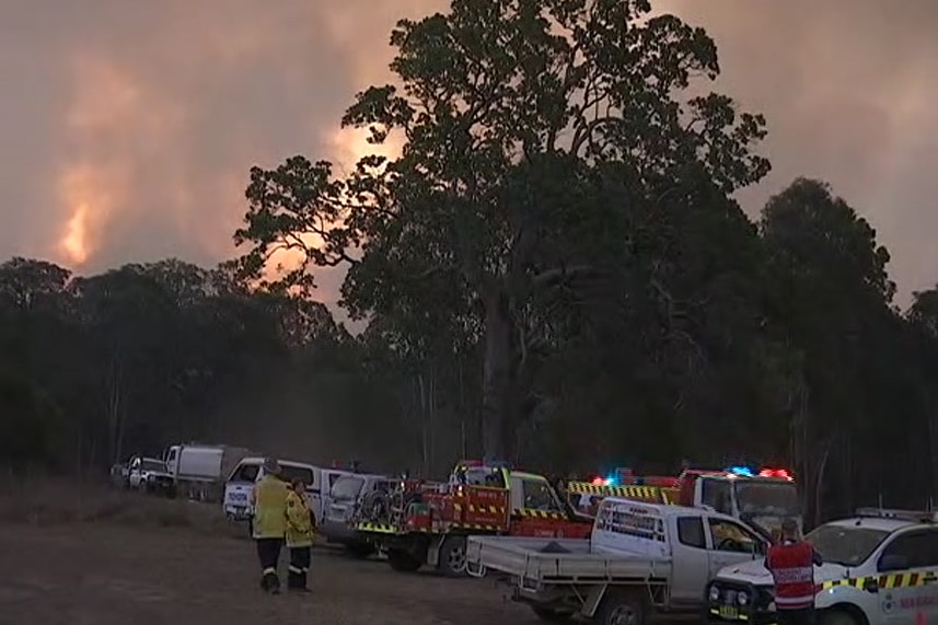 Firefighters in front of trees with smoke in the background