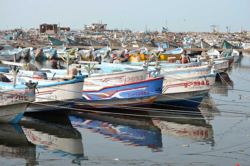 Boats are tied up at Yemens Hudaydah port