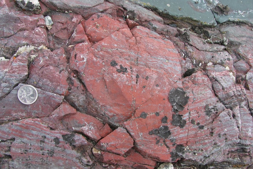 Iron-rich rock from ancient hydrothermal vent