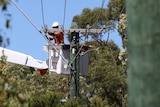 A person in a cherry picker works on power lines