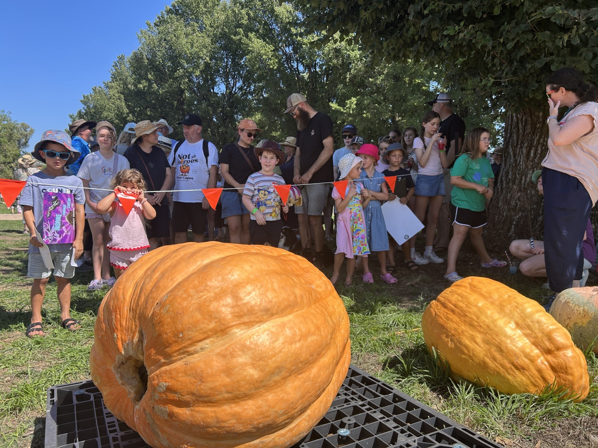 af74172dcec87d5742199f8ea4e77cca?impolicy=wcms_crop_resize&cropH=1280&cropW=1920&xPos=0&yPos=158&width=862&height=575