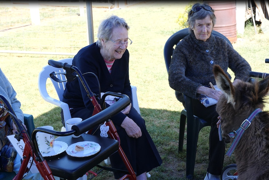 Two elderly women sit on chairs outdoors, smiling at a donkey while having morning tea.