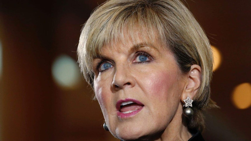 Foreign Minister Julie Bishop accused Bill Shorten of treacherous behaviour.