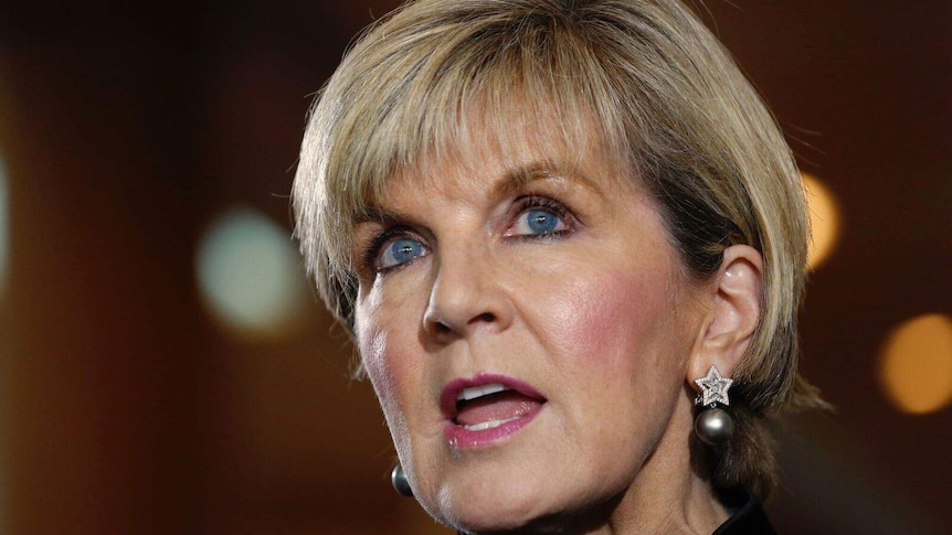 Julie Bishop speaks to the media.