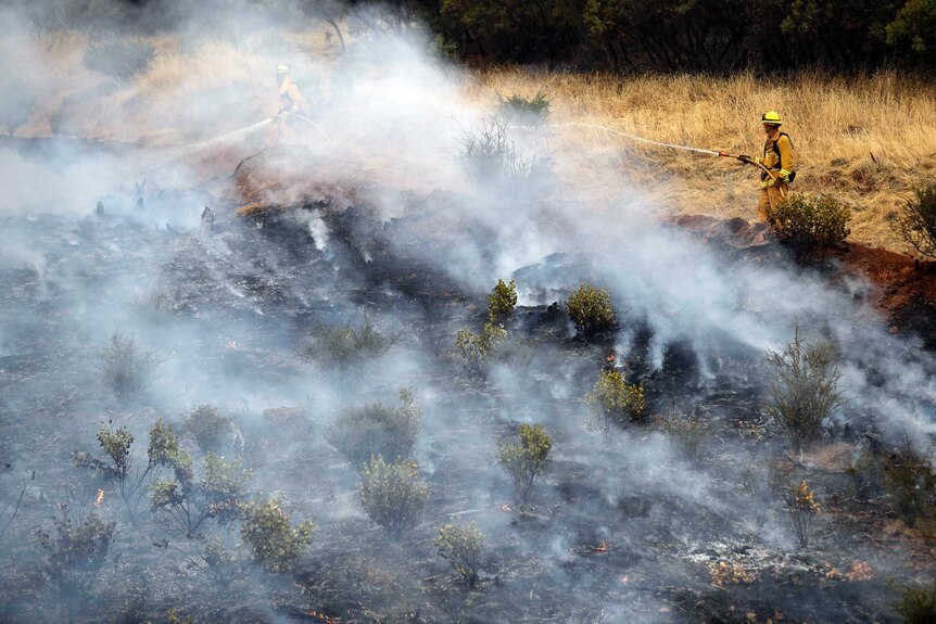 Firefighters hose down hot spots from a wildfire