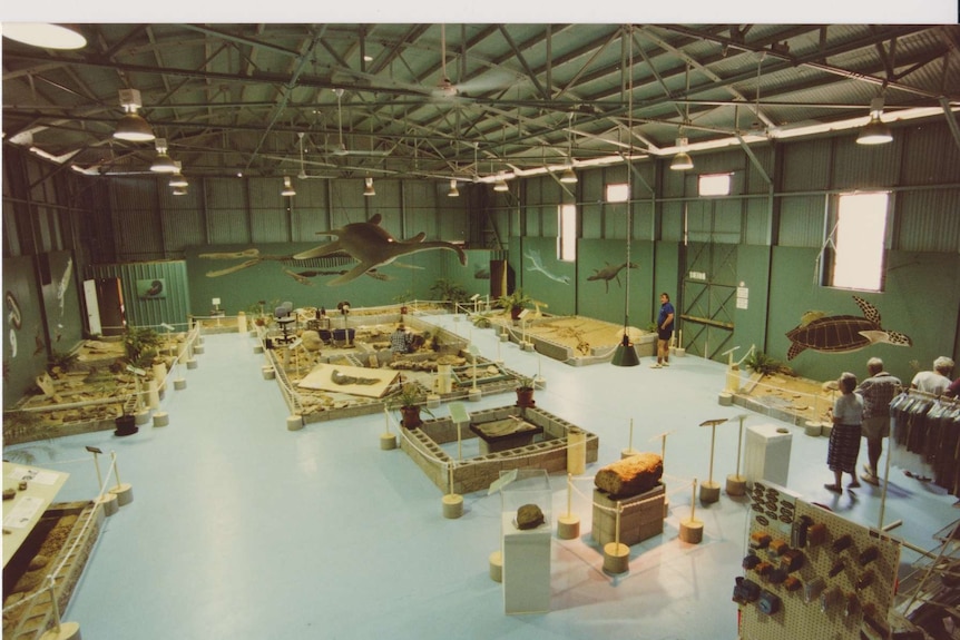 A large shed with green walls and sea creatures painted on them. The floor is a series of dig sites with fossils.