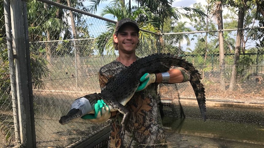 New research aims to reduce waste and improve animal welfare in the crocodile  skin industry - ABC News