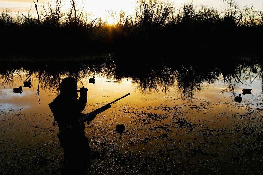 Duck hunting is back in Riverland (ABC: ABC News)