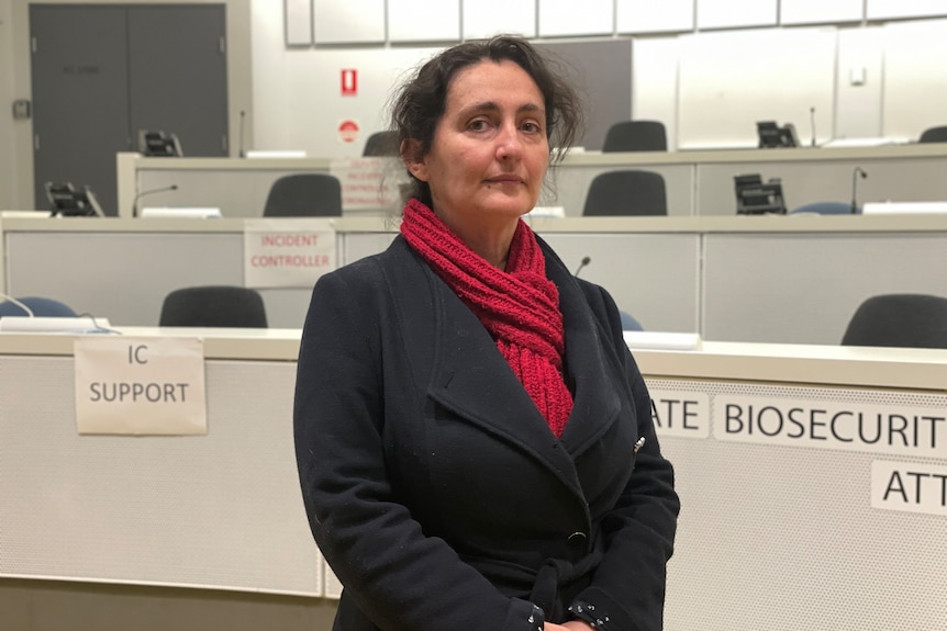 A woman inside an office wearing a blazer and a red scarf, looking ahead.