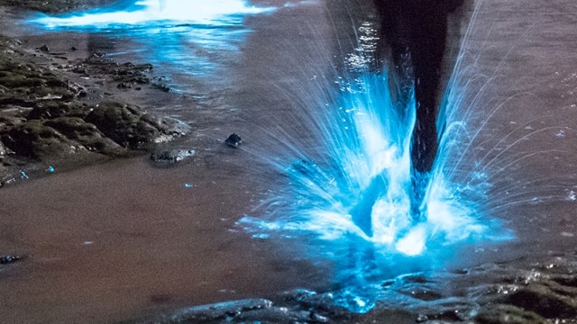 A person splashing on a beach lit up by glowing plankton.