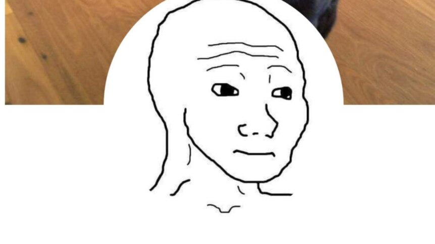 An image of the meme Wojak; a black-outlined cartoon drawing of a bald man.