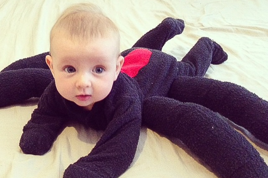 Baby dressed as a redback spider