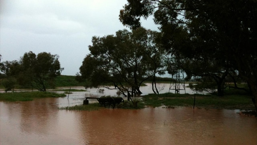 Flooded dam at Buckleboo