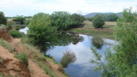 A blue river with green trees growing on the bank, and a paddock in the background.