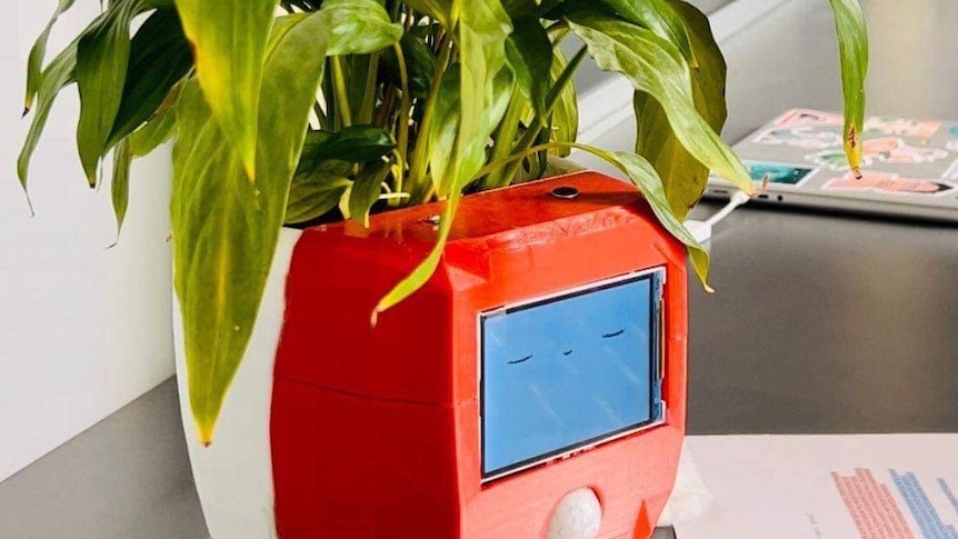 A plant in a red pot with an animated face.