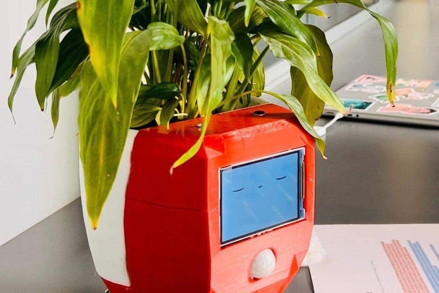 A plant in a red pot with an animated face.