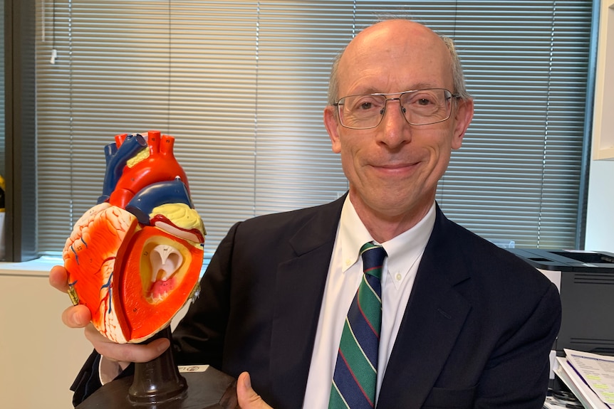 A man sitting in an office holding a model of a heart.