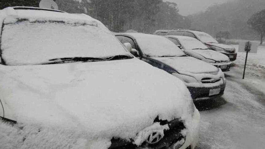 Snow covering cars at Corin Forest