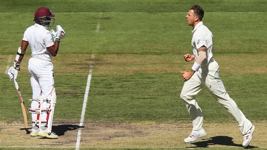 James Pattinson celebrates the wicket of Rajendra Chandrika