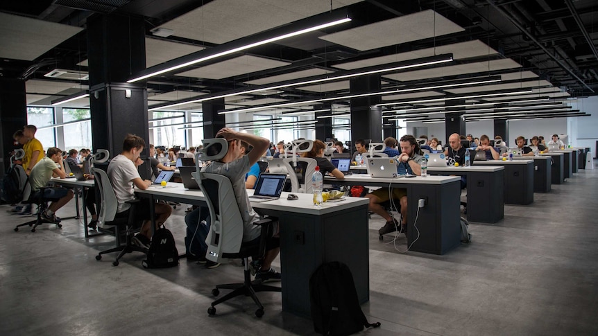 Rows and rows of workers at computers in an open-plan office.