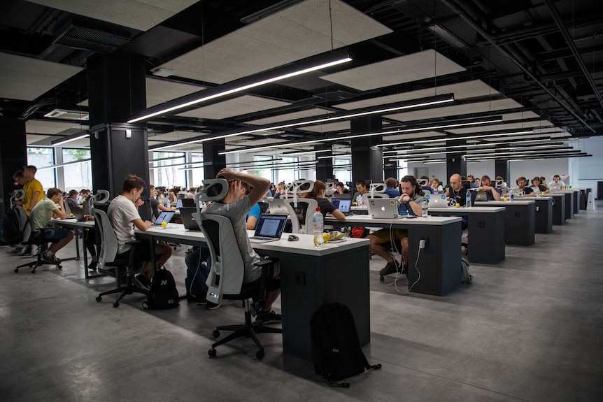 Rows and rows of workers at computers in an open-plan office.