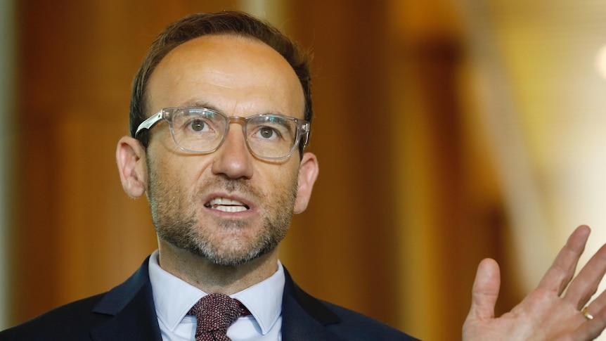 Bandt holds his hand in the air as he speaks inside Parliament House.