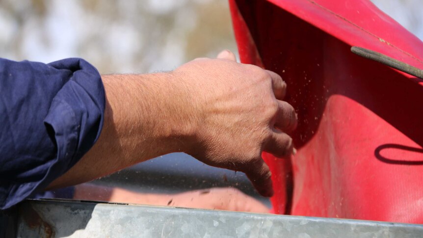 A hand is seen reaching into the back of a ute.