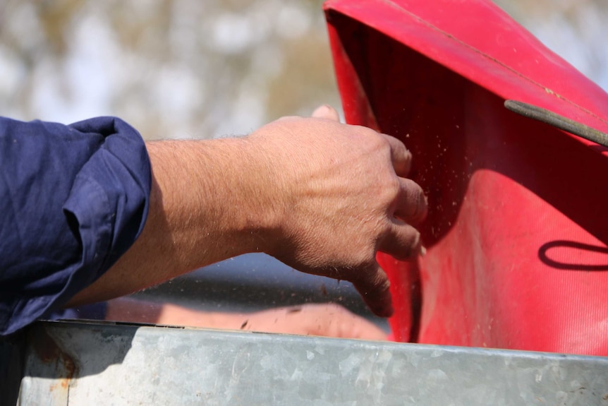 A hand is seen reaching into the back of a ute.