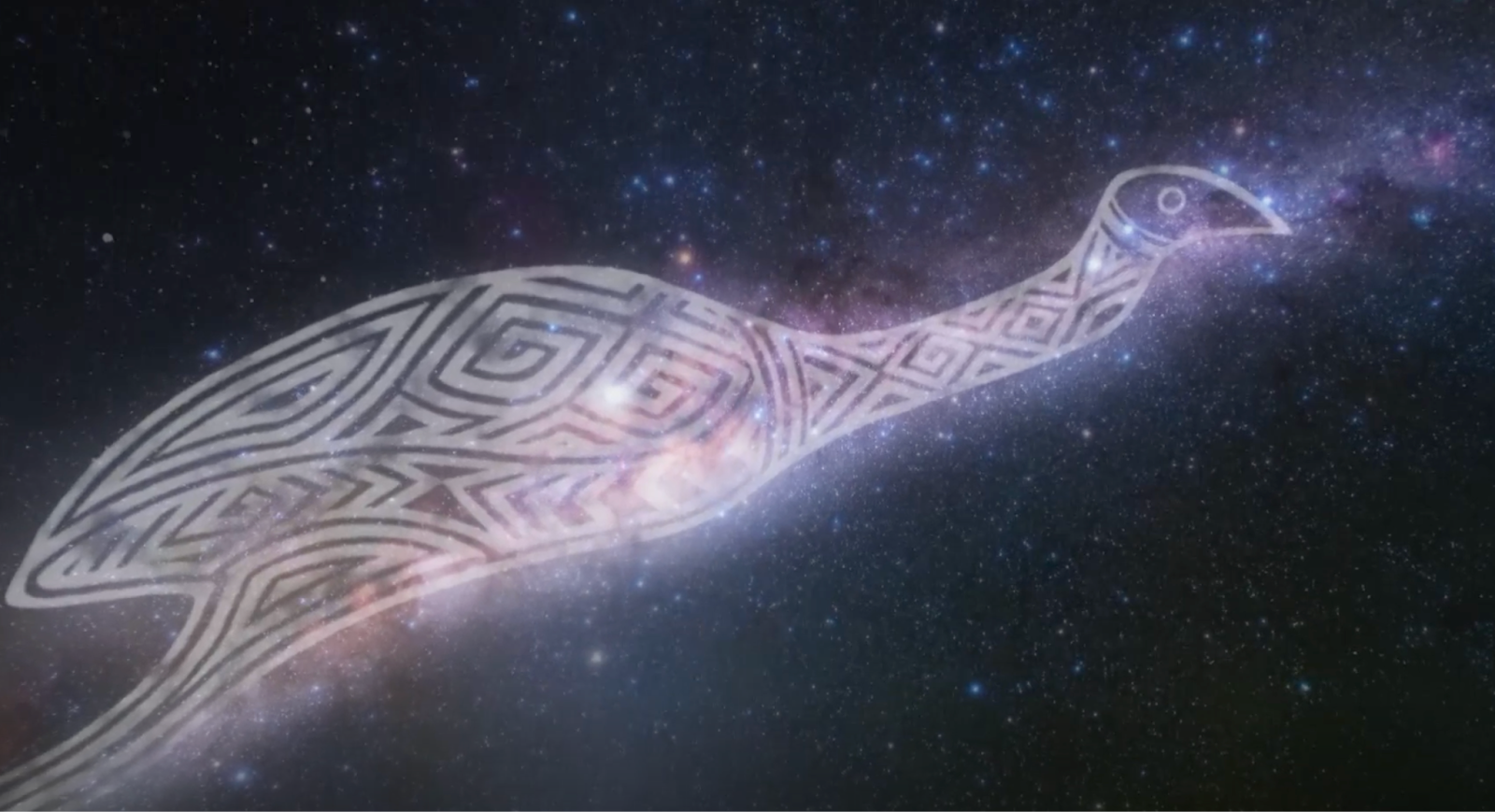 Imagen animada de un emú fantasmal dibujado en el cielo estrellado.