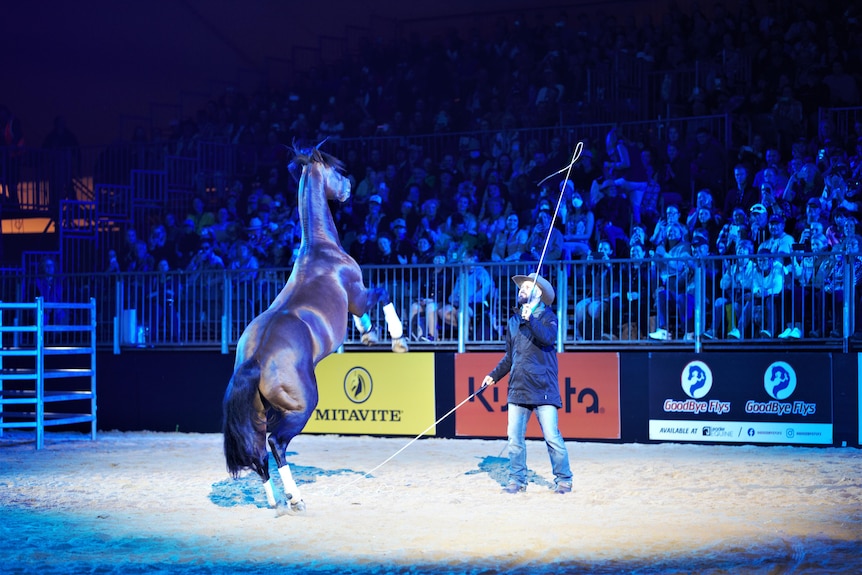 Man with a horse competition.