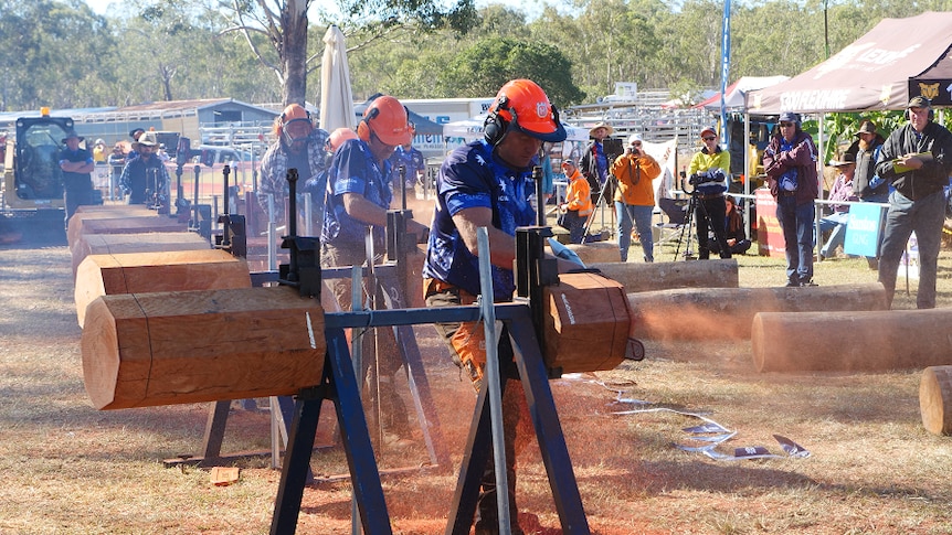 Jason Chisholm sawing into some wood, sending red sawdust flying