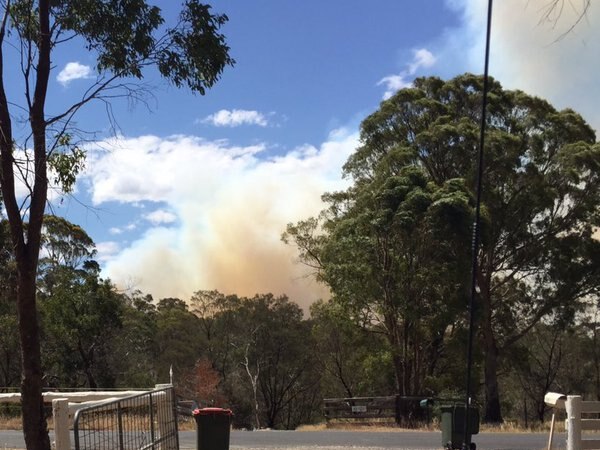 A grassfire burns at Edgecombe in central Victoria