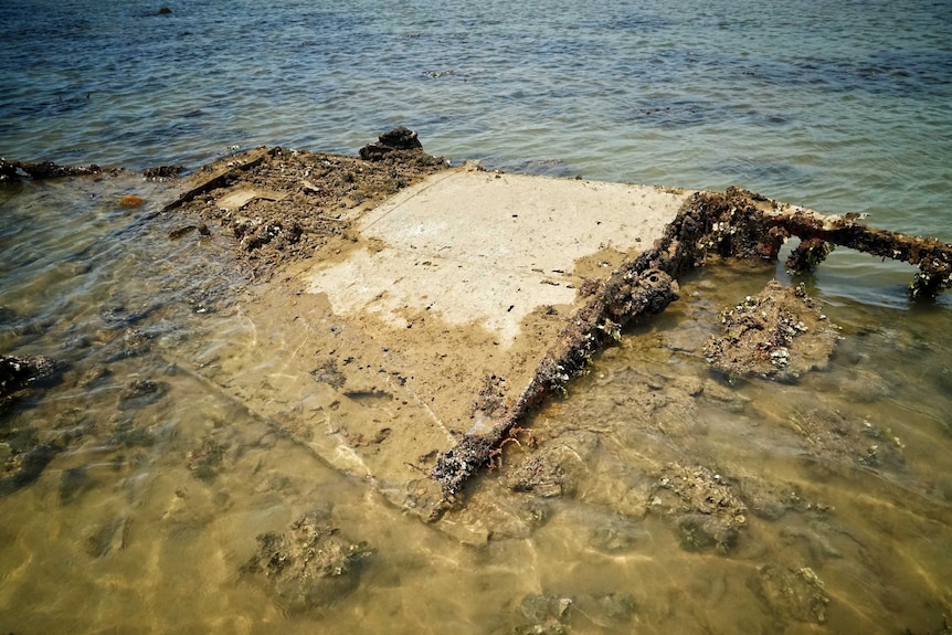 A partially submerged wreck of the wing of a bomber covered in sediment and barnacles.