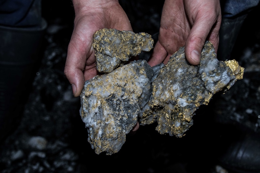 A close-up of a mine worker holding a rare gold specimen.