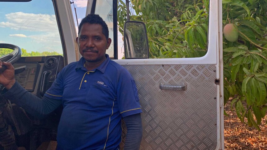 a man standing in the door of a truck next to a mango tree.