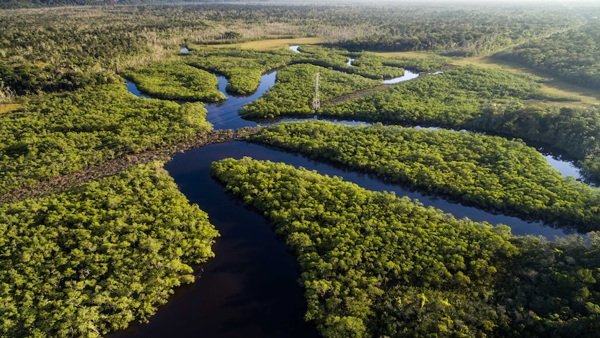 Aerial image of the Amazon rainforest