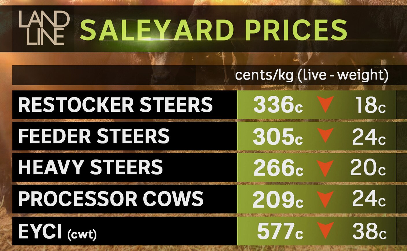 Landline graph on cattle prices