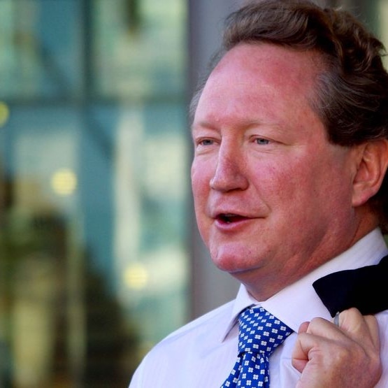 Andrew 'Twiggy' Forrest takes over Harvey Beef