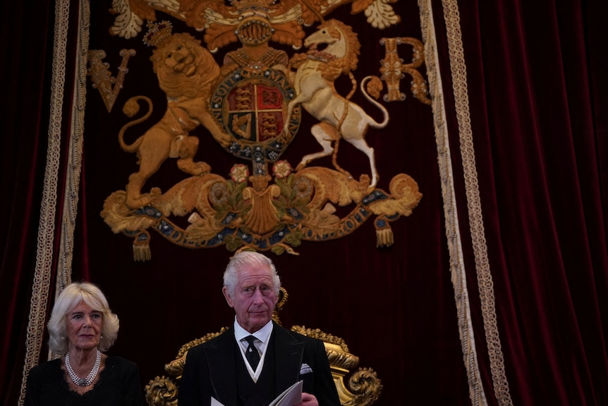 King Charles and Camilla stand under a giant coat of arms tapestry on the wall.
