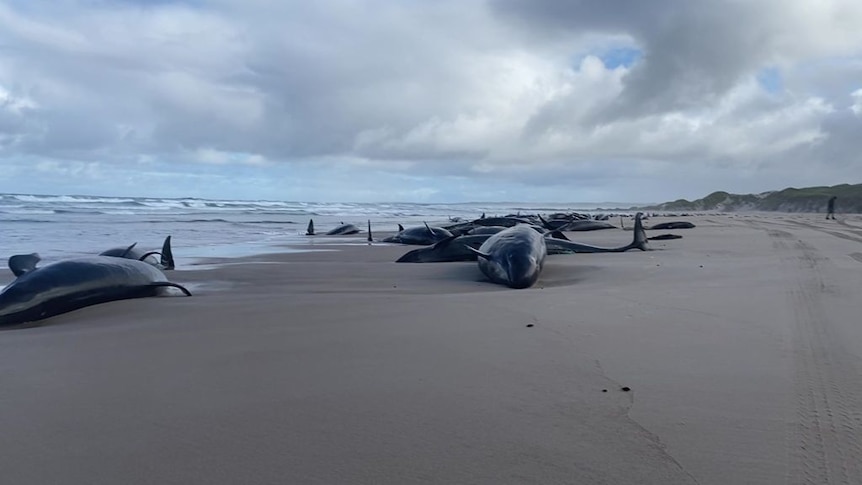 Фото на пляже 14 лет Фото на пляже 14 лет