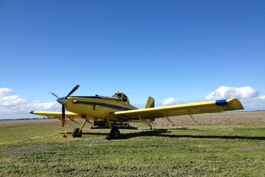 A grounded yellow plane in a green paddock with blue sky in the background.  