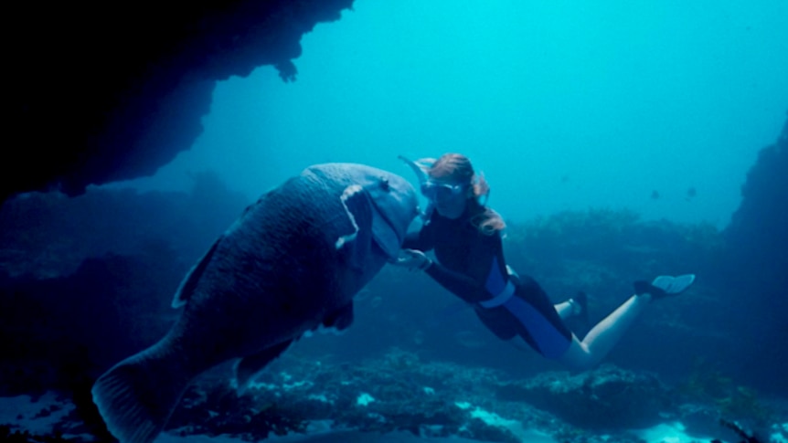 a girl with a fish underwater