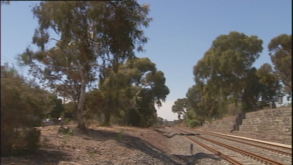 Trees versus trains - ABC News